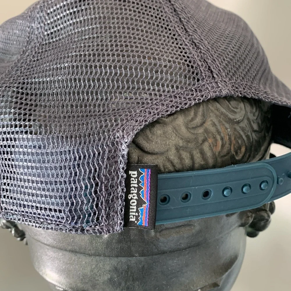 Patagonia Fitz Roy Bison Hat